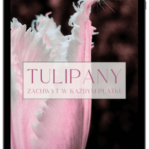 E-book "Tulipany"