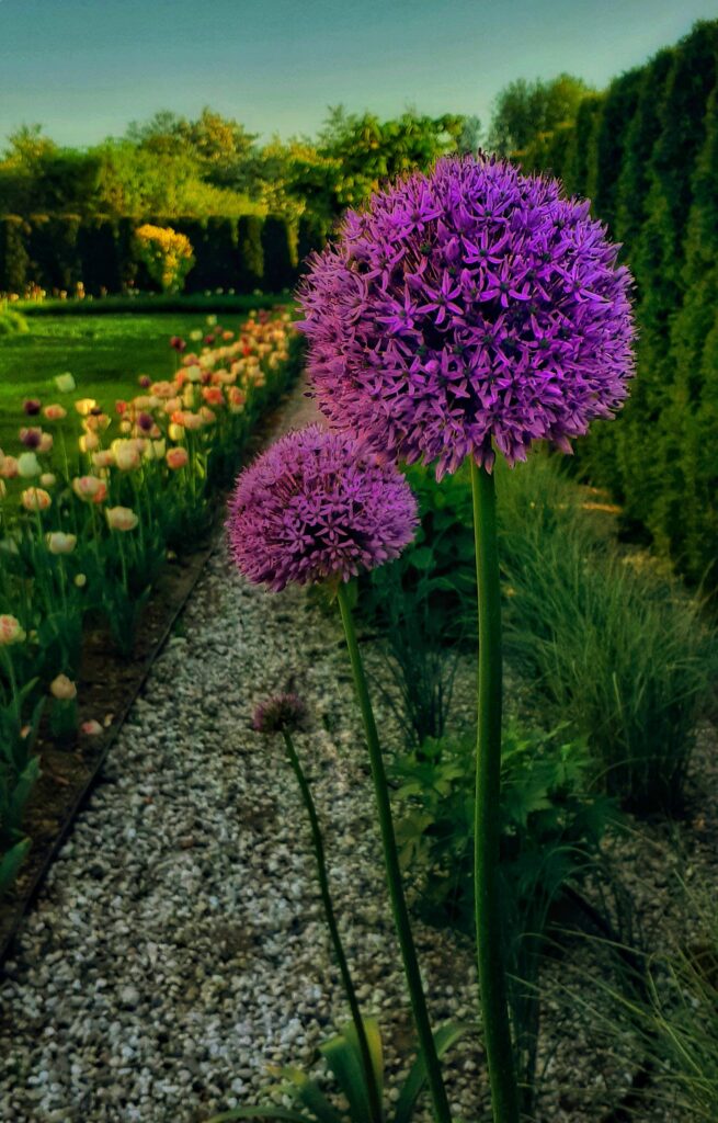 20220518_185646-01-01-01