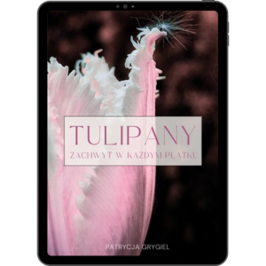 E-BOOK "TULIPANY - ZACHWYT W KAŻDYM PŁATKU"
